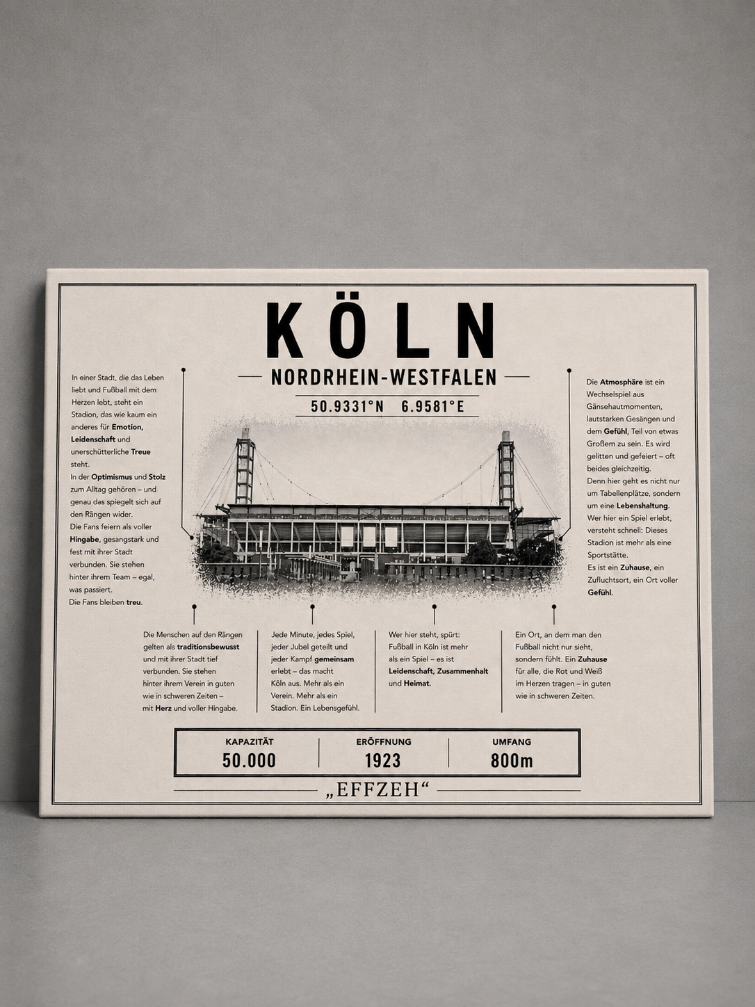 Köln Stadion Leinwand