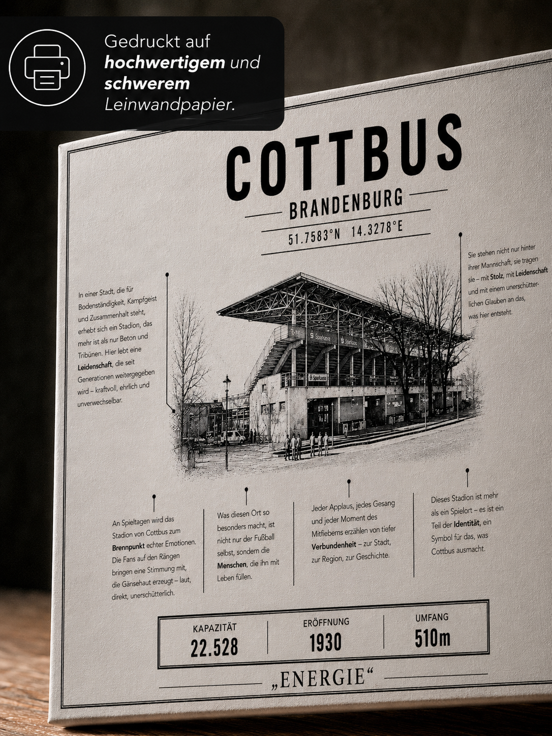 Cottbus Stadion Leinwand – Detailansicht 2