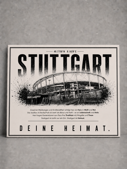 Stuttgart Stadion Leinwand