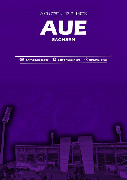 Aue Stadion Leinwand