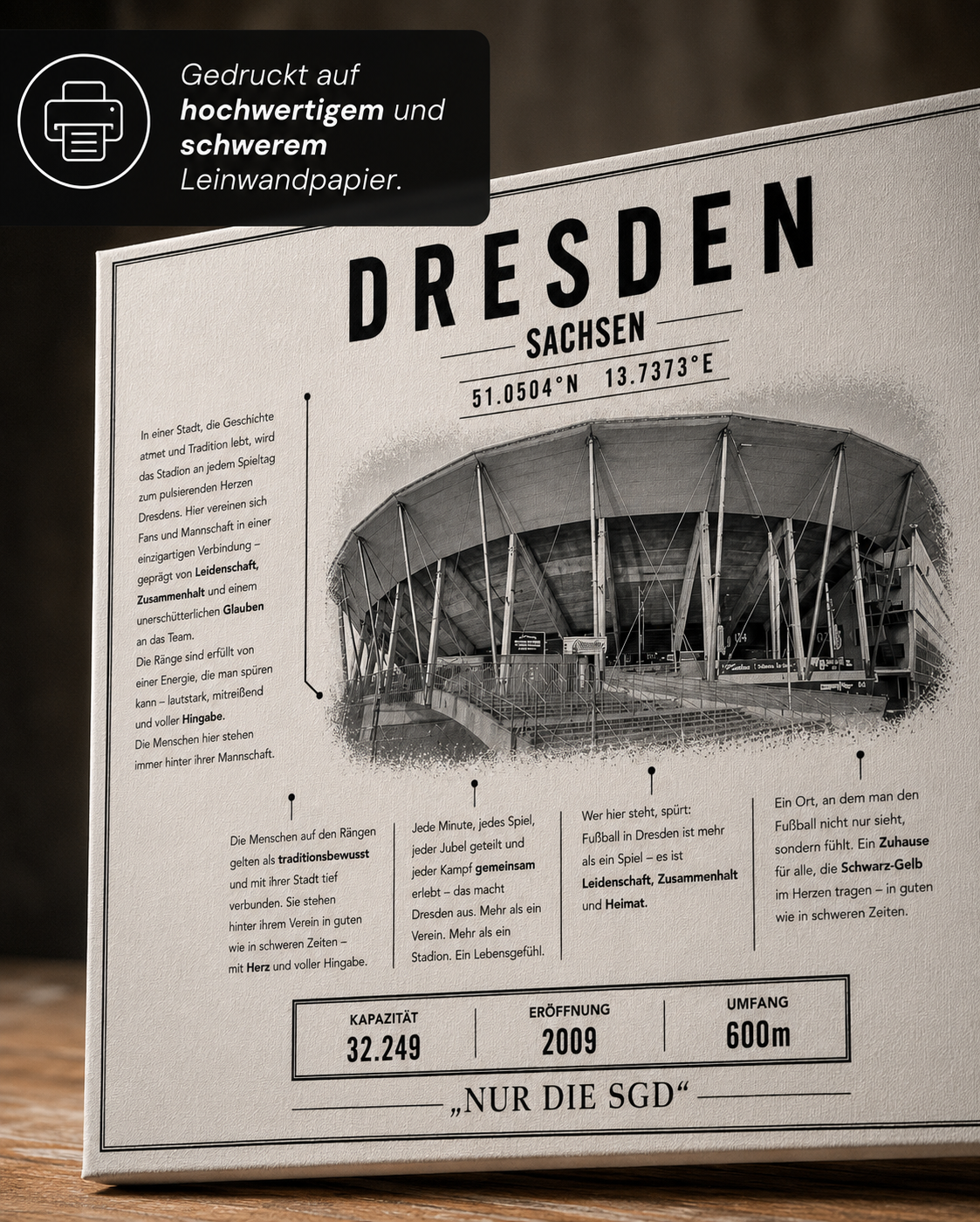 Dresden Stadion Leinwand