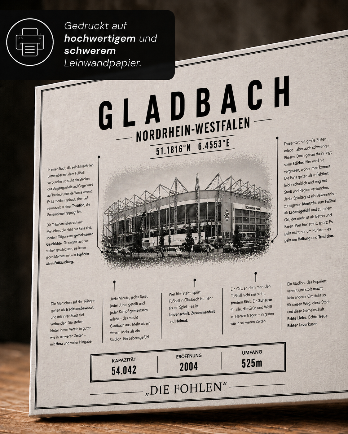 Braunschweig Stadion Leinwand – Detailansicht 2
