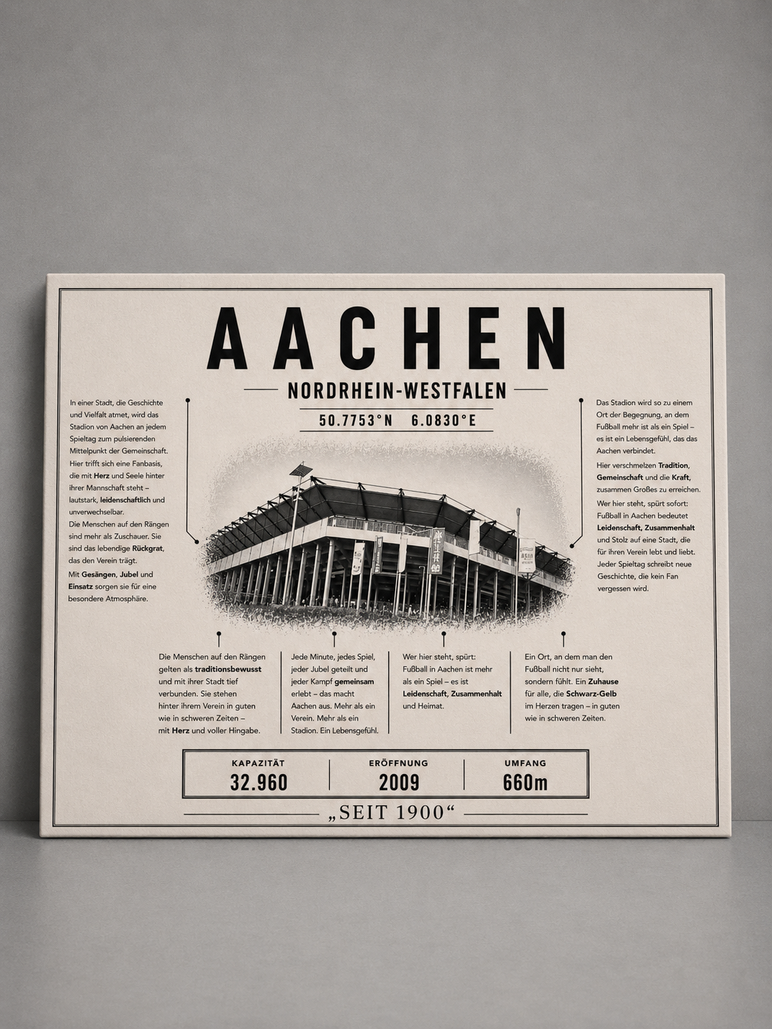 Aachen Stadion Leinwand