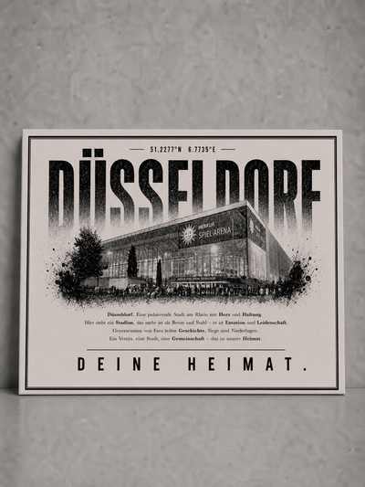Düsseldorf Stadion Leinwand