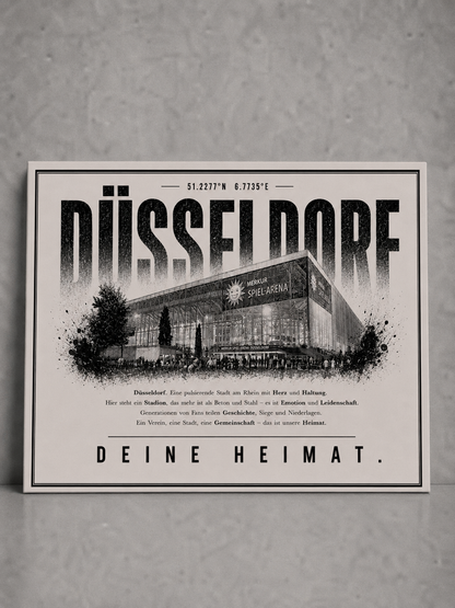 Düsseldorf Stadion Leinwand