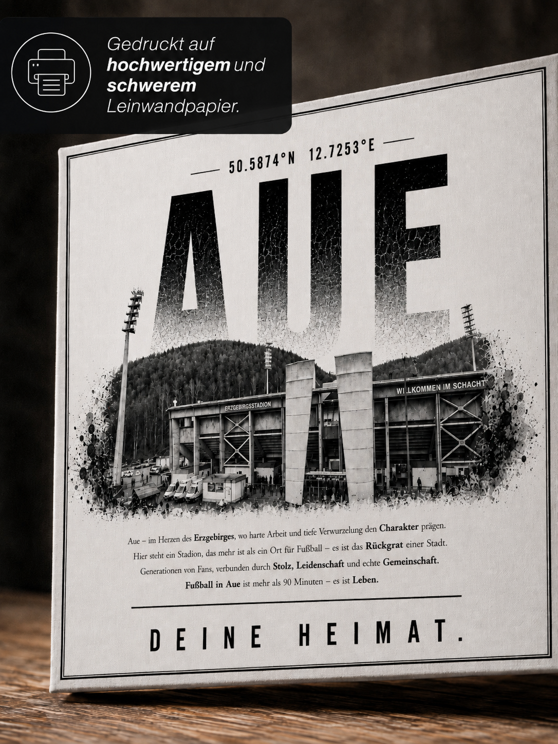 Aue Stadion Leinwand