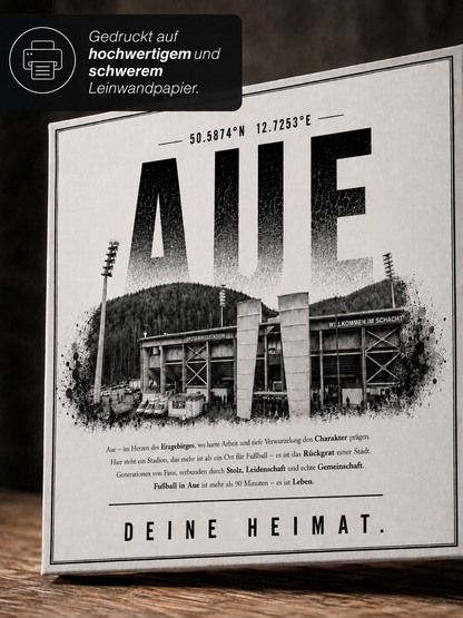 Aue Stadion Leinwand