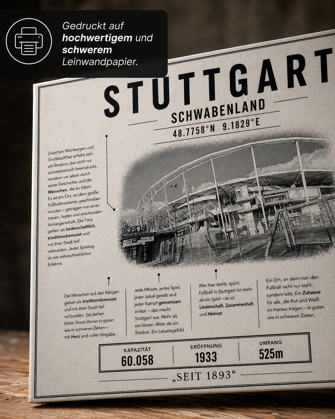 Stuttgart Stadion Leinwand