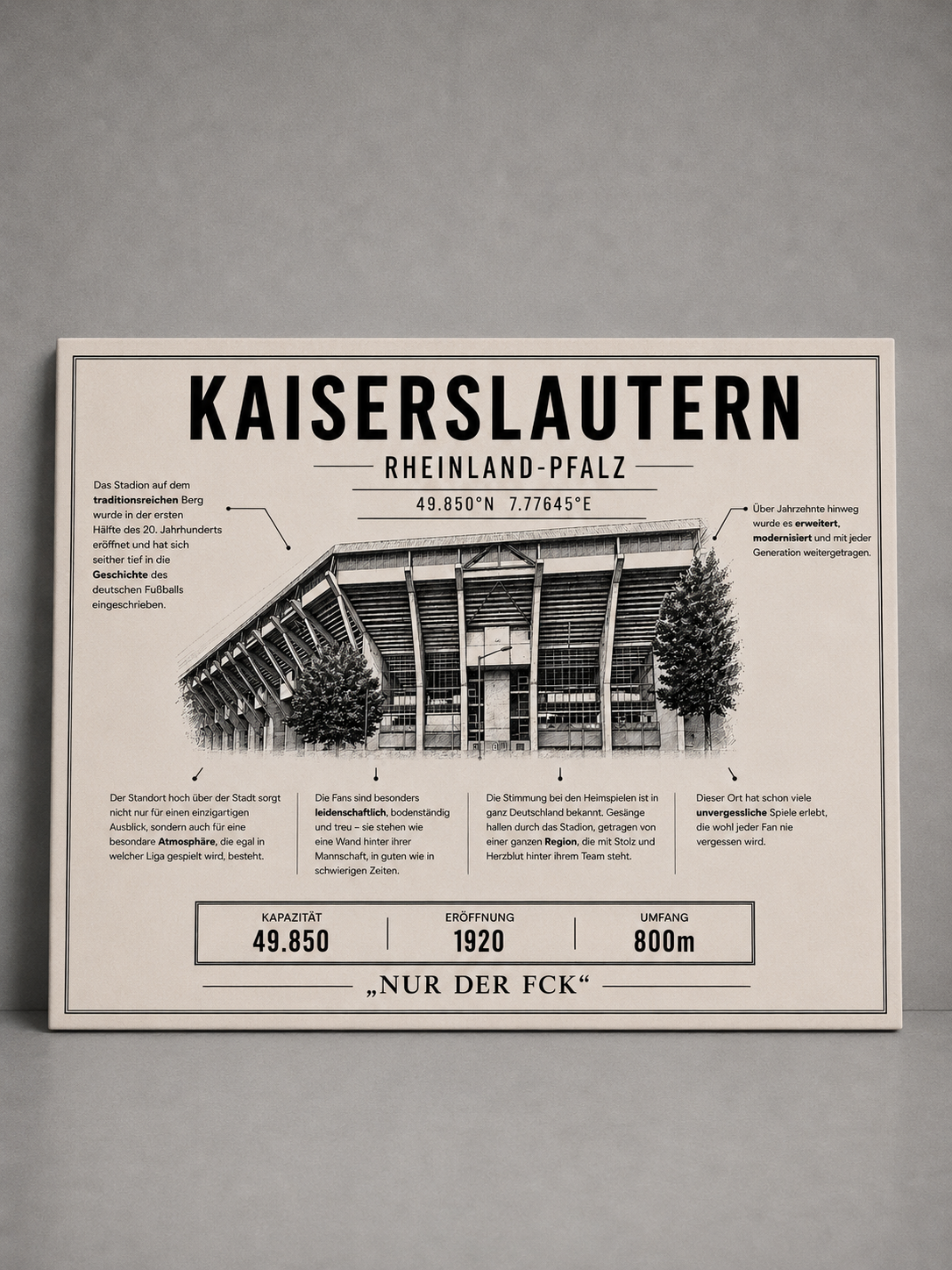 Kaiserslautern Stadion Leinwand