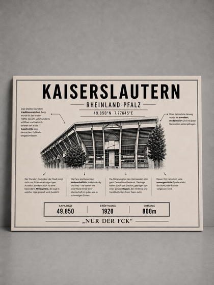 Kaiserslautern Stadion Leinwand