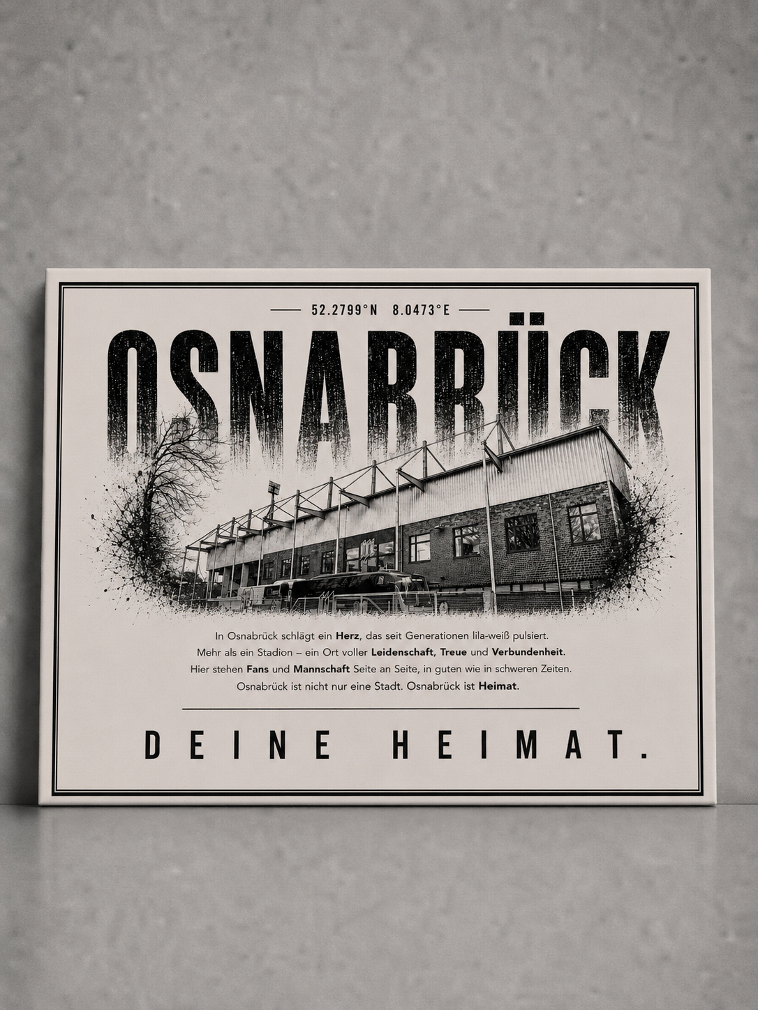 Osnabrück Stadion Leinwand