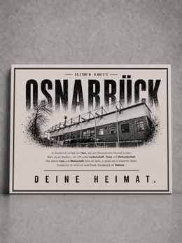 Osnabrück Stadion Leinwand