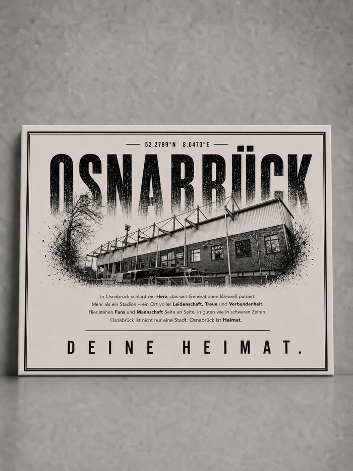 Osnabrück Stadion Leinwand
