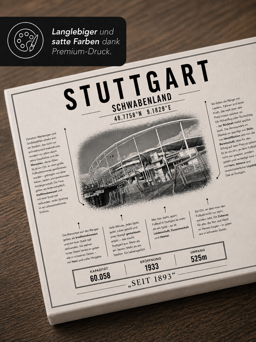 Stuttgart Stadion Leinwand