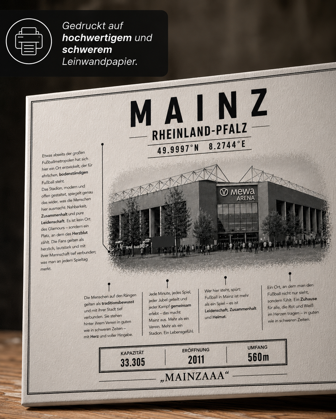 Mainz Stadion Leinwand – Detailansicht 2