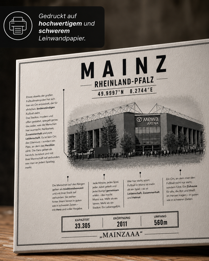 Mainz Stadion Leinwand