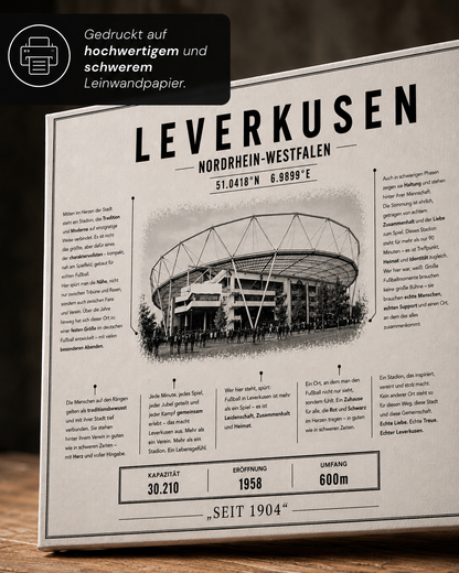 Leverkusen Stadion Leinwand