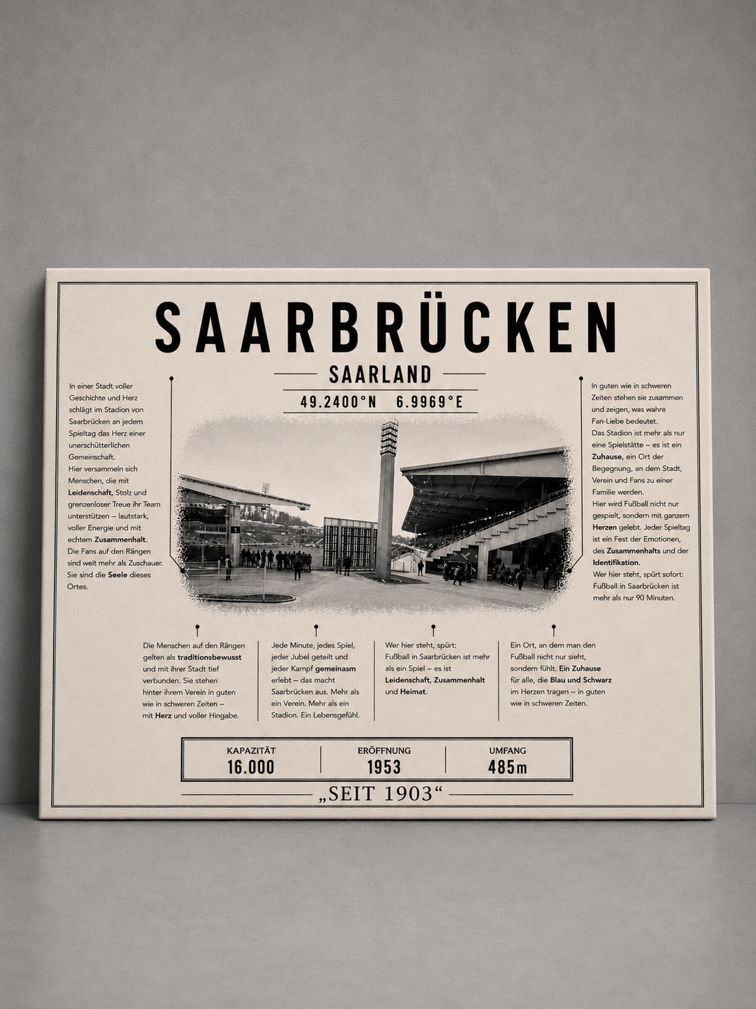 Saarbrücken Stadion Leinwand