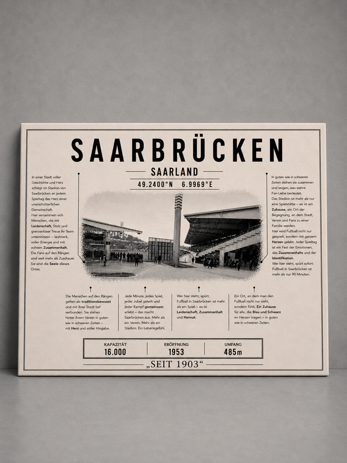 Saarbrücken Stadion Leinwand