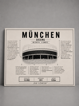München Stadion Leinwand