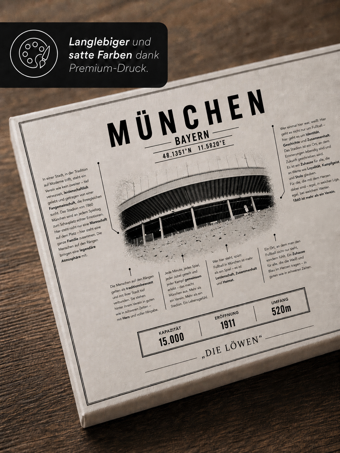 München 1860 Stadion Leinwand