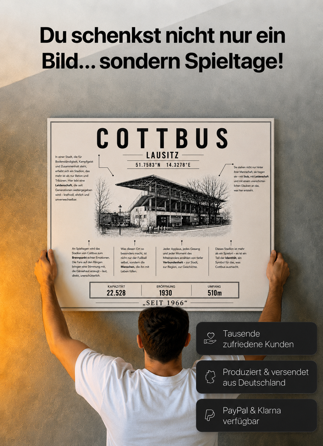 Cottbus Stadion Leinwand