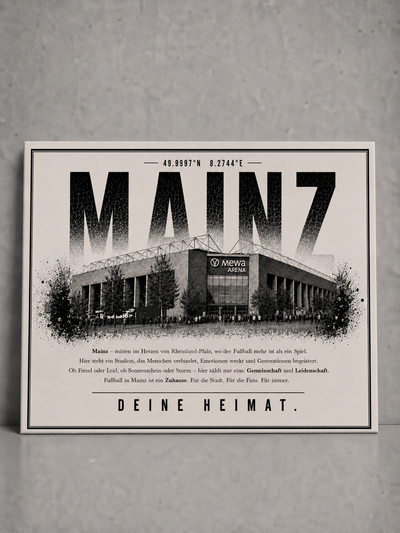 Mainz Stadion Leinwand