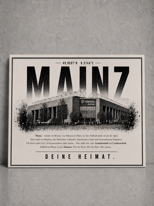 Mainz Stadion Leinwand