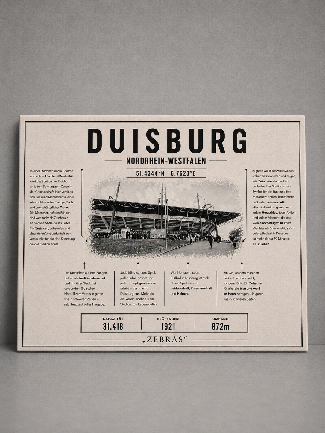 Duisburg Stadion Leinwand