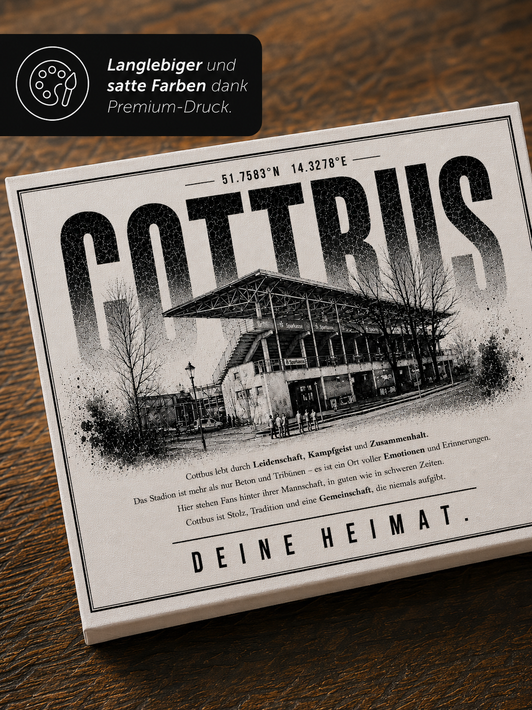 Cottbus Stadion Leinwand