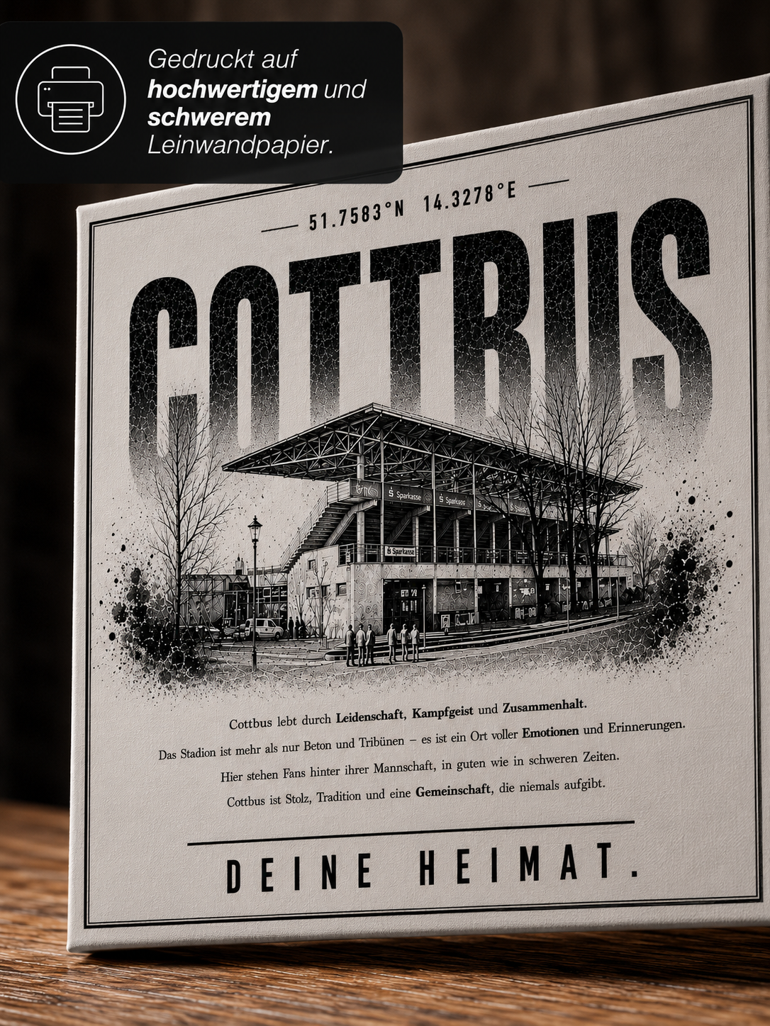Cottbus Stadion Leinwand