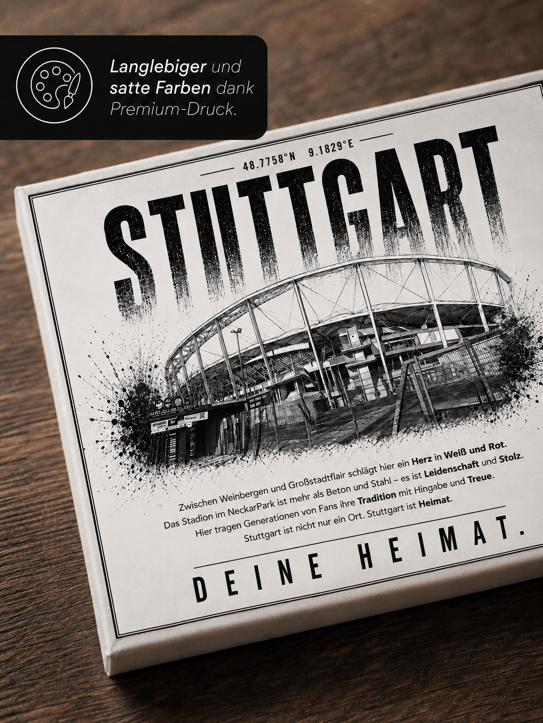 Stuttgart Stadion Leinwand