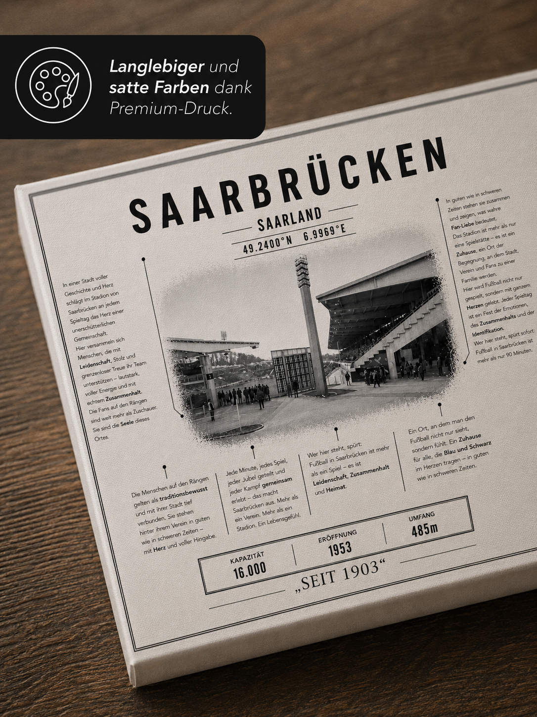 Saarbrücken Stadion Leinwand – Detailansicht 3