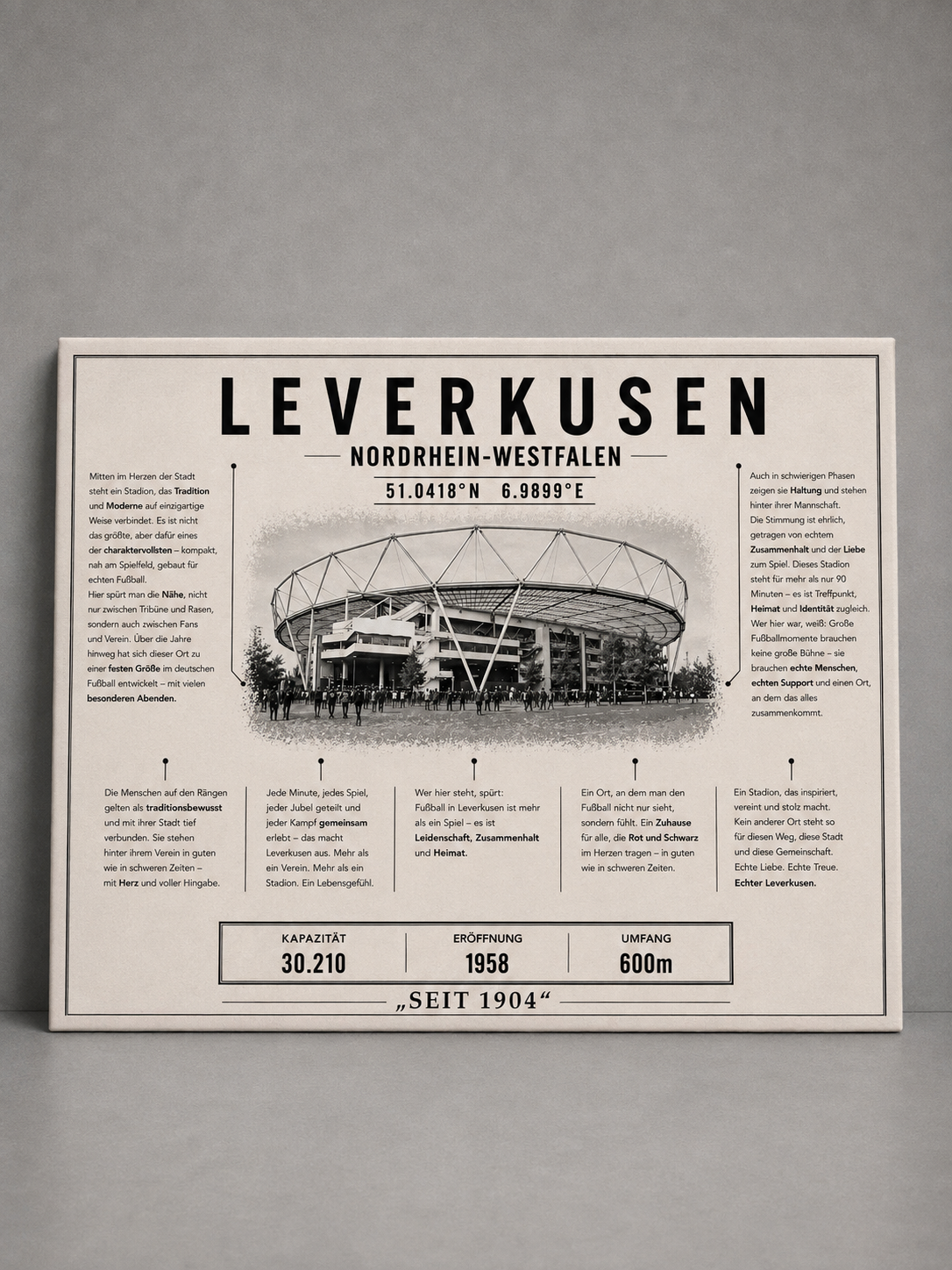 Leverkusen Stadion Leinwand