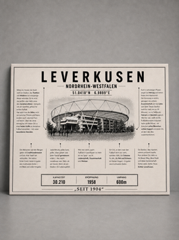 Leverkusen Stadion Leinwand