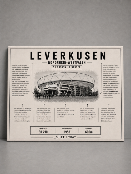 Leverkusen Stadion Leinwand