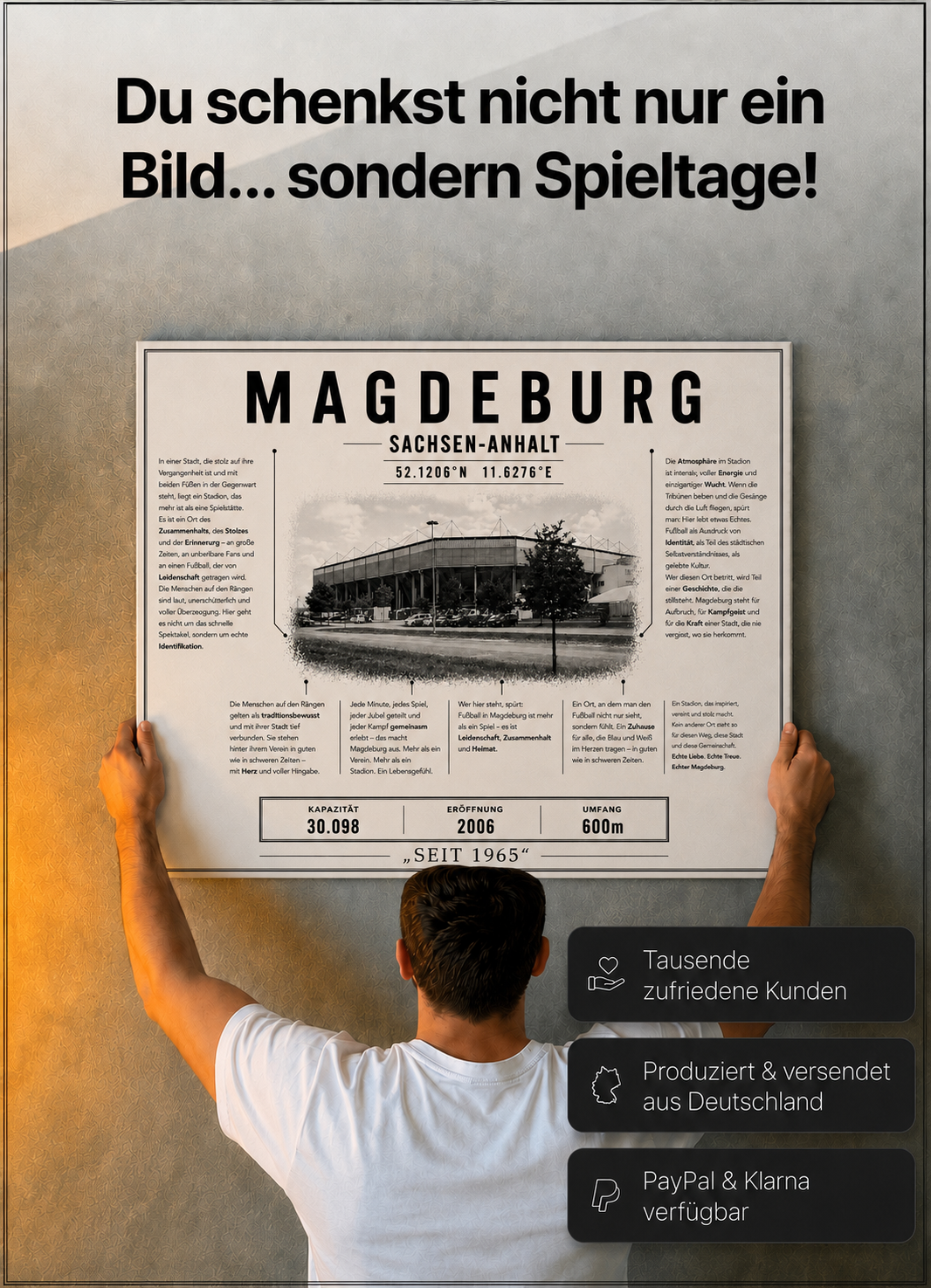 Magdeburg Stadion Leinwand
