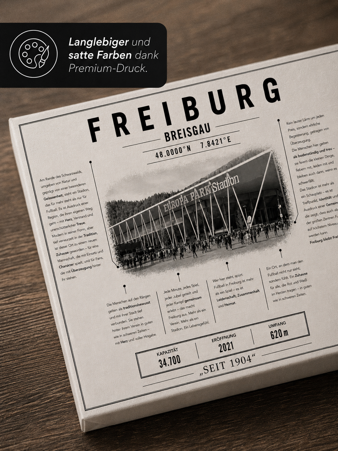 Freiburg Stadion Leinwand – Detailansicht 3