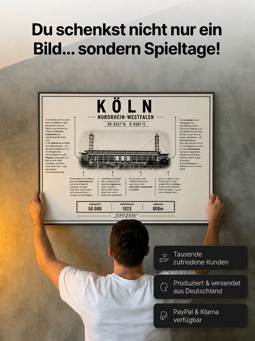 Mannheim Stadion Leinwand