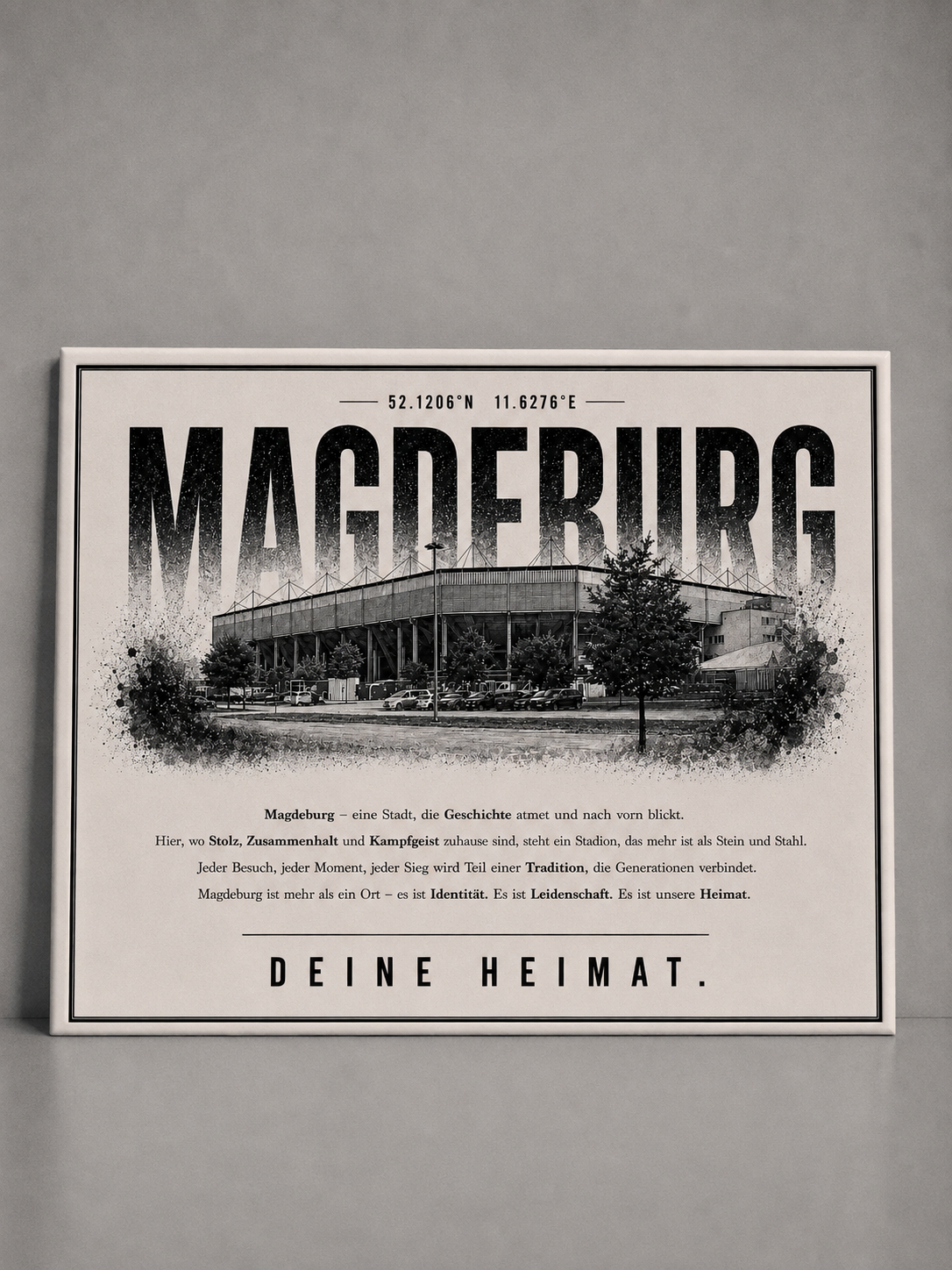 Magdeburg Stadion Leinwand
