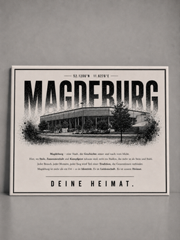 Magdeburg Stadion Leinwand