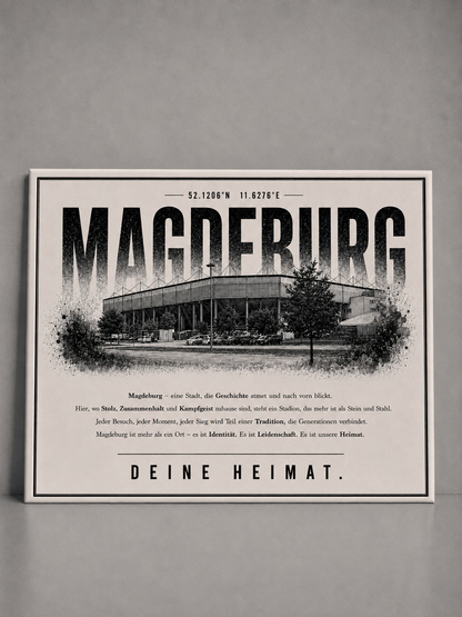 Magdeburg Stadion Leinwand