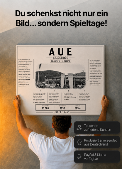 Aue Stadion Leinwand
