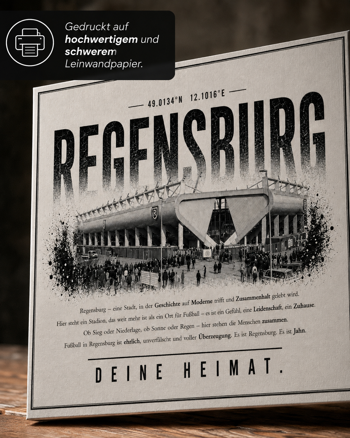 Regensburg Stadion Leinwand