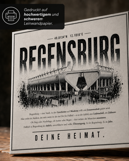 Regensburg Stadion Leinwand
