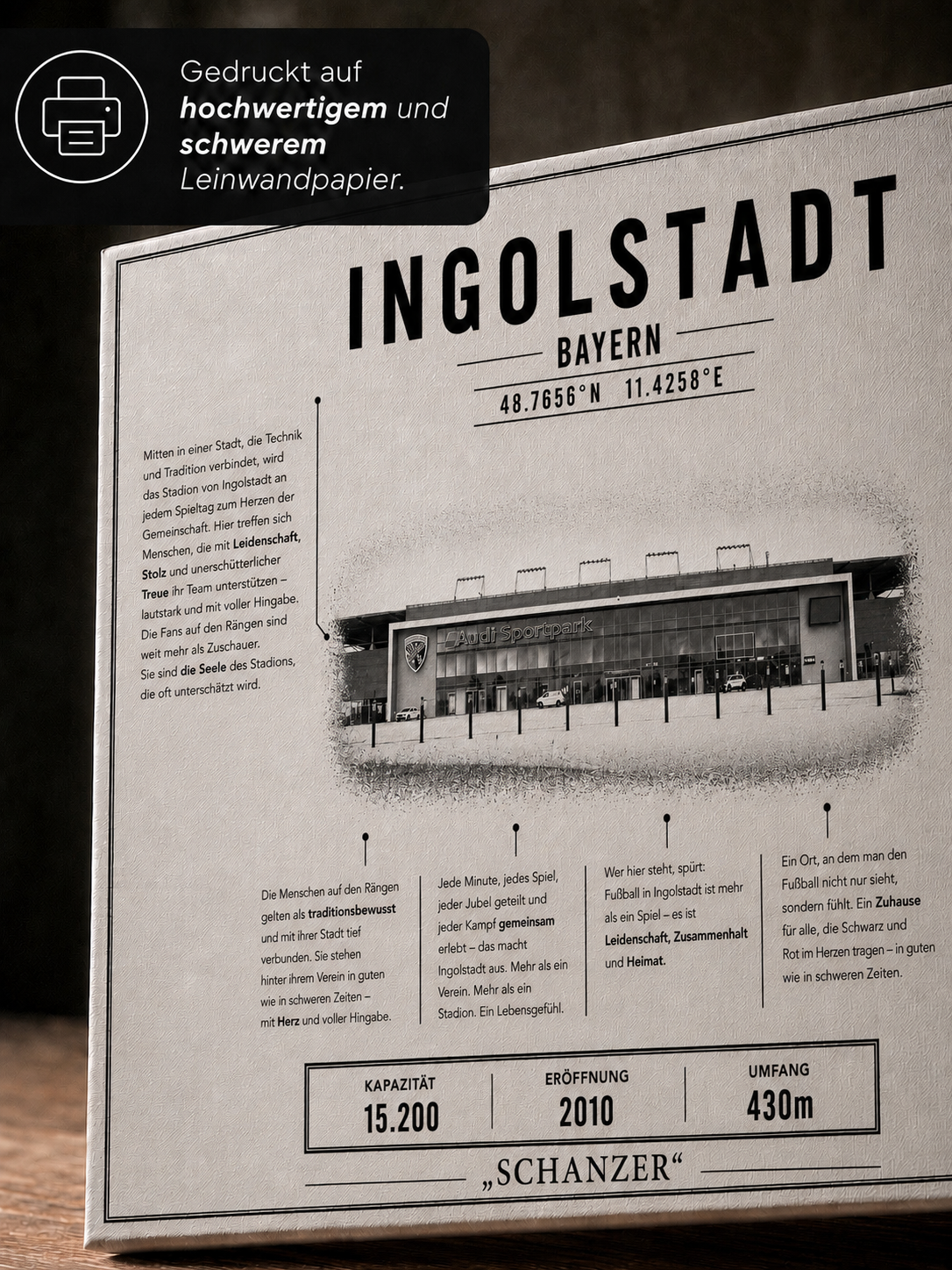 Ingolstadt Stadion Leinwand – Detailansicht 2
