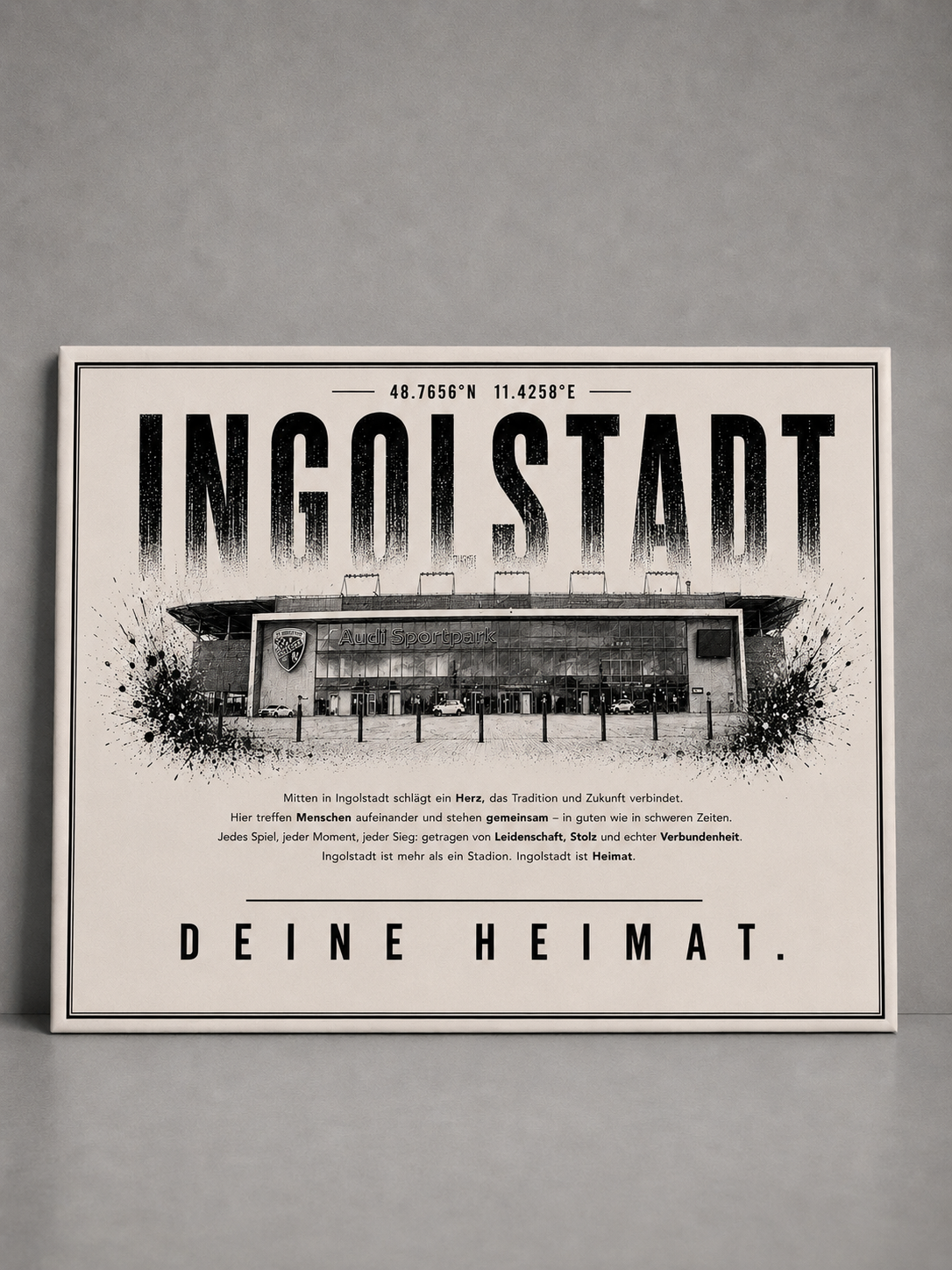Ingolstadt Stadion Leinwand