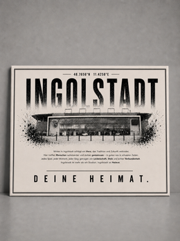 Ingolstadt Stadion Leinwand