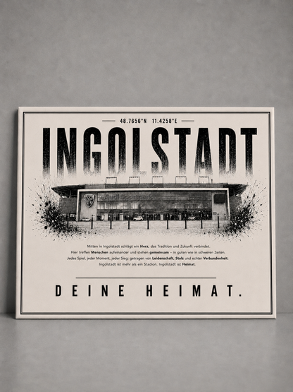 Ingolstadt Stadion Leinwand