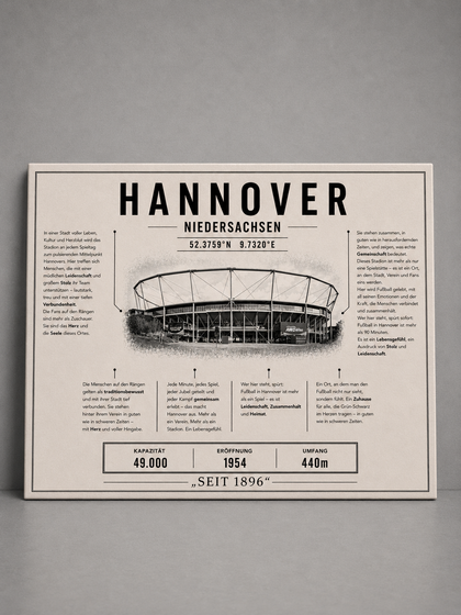 Hannover Stadion Leinwand